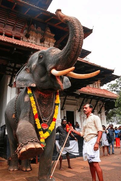 Gaja Pooja ritual Thrissur