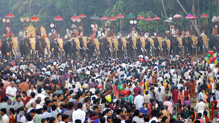 Caparisoned elephants lined up at Arattupuzha Pooram festival in Kerala