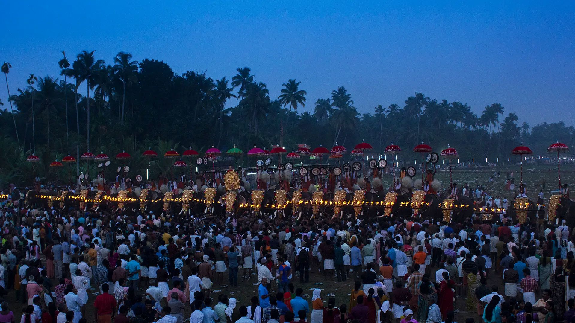 decorated elephants at Arattupuzha Pooram