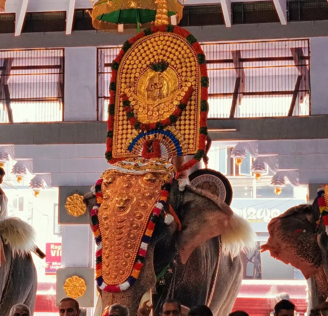 Caparisoned elephants Kerala