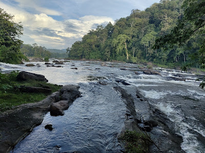 Vazhachal forest trail
