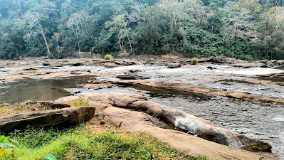 Kerala waterfall nature